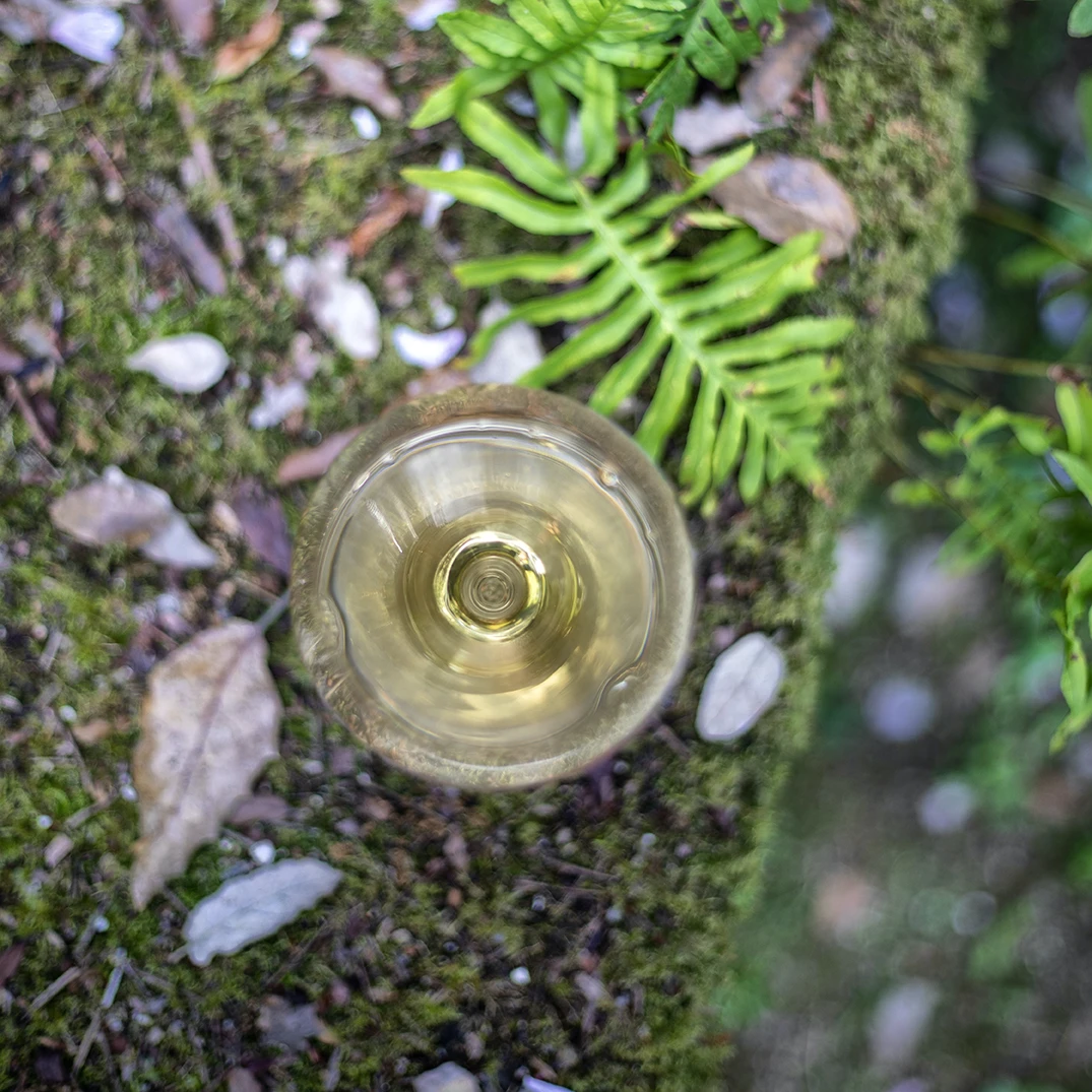 Vinhos Verdes Off Season! - Parte 3