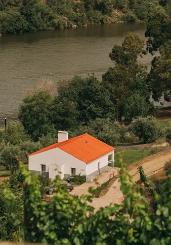 Quinta de Ventozelo: O Douro com tempo, alma e sentido