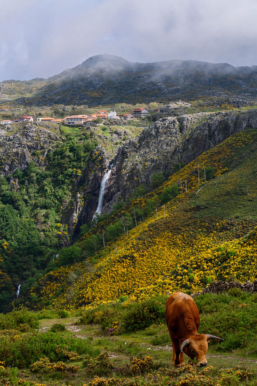 Arouca. E o Paraíso aqui tão perto