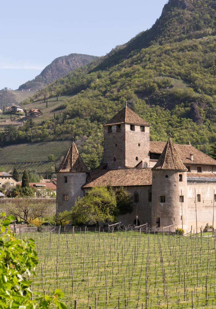 Guia de Bolzano: uma cidade entre montanhas